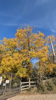 Fotografija s spletne strani AleMiao na poti