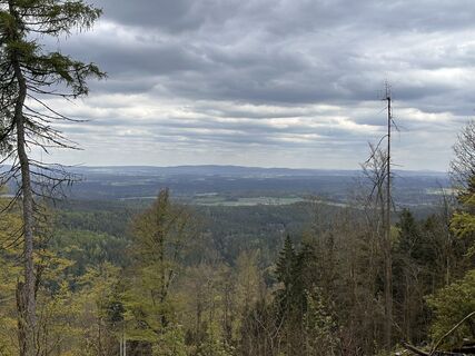 Fotografija s spletne strani Norbert Herbig na poti