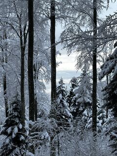 Fotografija s spletne strani Schnupfe na poti