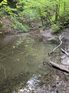 Foto von Lili Bártfai entlang der Tour