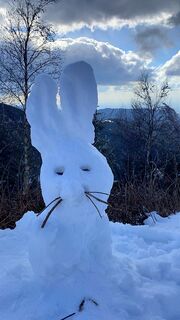 Fotografija s spletne strani Myriam Schaub 1 na poti