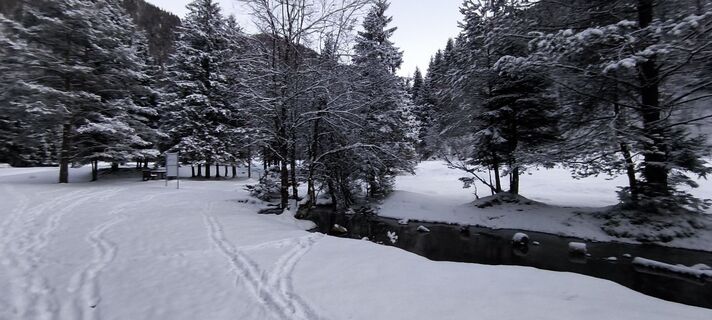 Fotografia z Alexander Steiner na trase