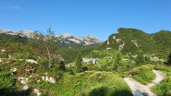 Fotografija s spletne strani Igor napast na poti