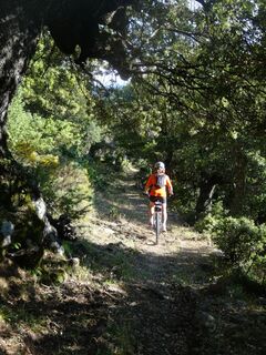 VTT FFC 9 : Fiuminale