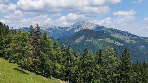 Foto de Gerhard Gössinger a lo largo del recorrido