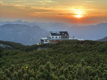 Fotografia z Mountain Cat ? ⛰️ na trase