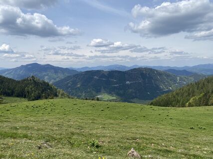 Foto de ttevi a lo largo del recorrido