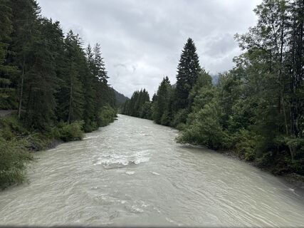 Foto von Grizzli entlang der Tour