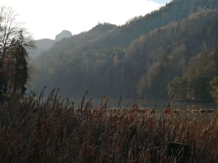 Photo de Brigitte Rottmann le long du parcours