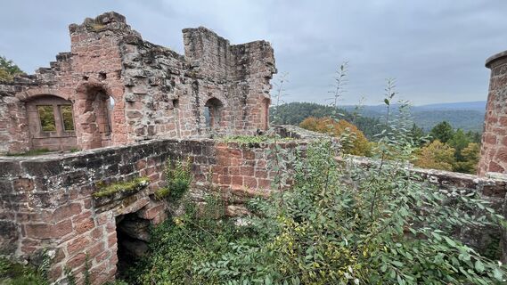 Foto de Siggi unterwegs a lo largo del recorrido