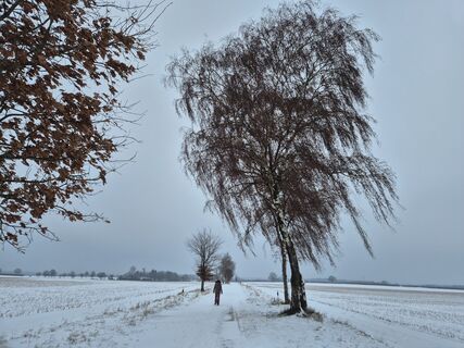 Foto von RWiedi entlang der Tour