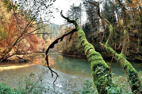 Raabklamm im Herbst_Naturpark Almenland_Oststeiermark