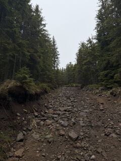 Photo de Flóra Pásztor le long du parcours