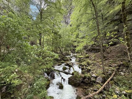 Foto von Florian Halbmayr entlang der Tour