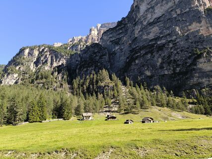 Fotografija s spletne strani Walter Tinkhauser na poti