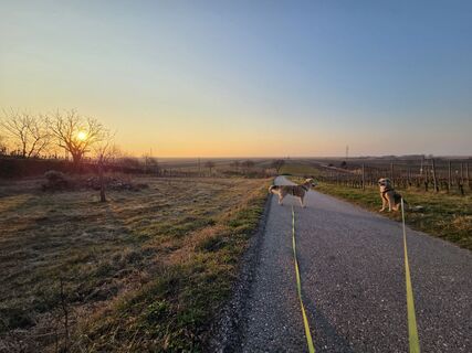 Photo de Thomas Hillinger le long du parcours
