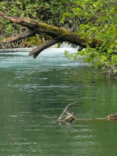 Foto von Der_Brasilianer entlang der Tour