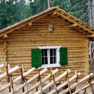 Waldschule