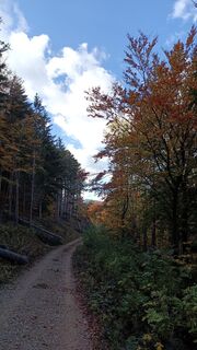 Photo de Bergpirat le long du parcours