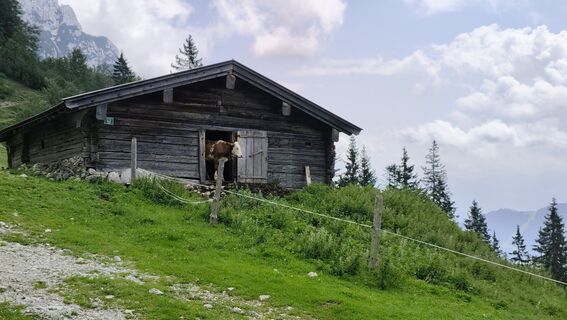 Fotografija s spletne strani Željko Golić na poti