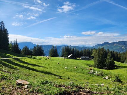 Foto von Petra Riegler entlang der Tour
