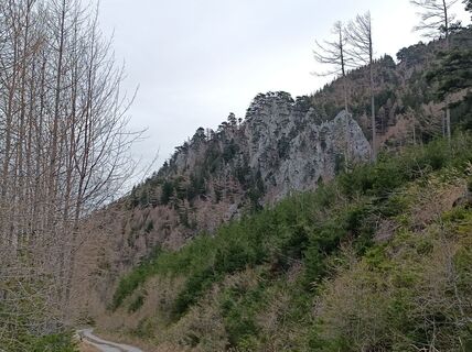 Zdjęcie z Bergpirat wzdłuż trasy