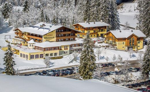 Hotel-Gasthof Wieseneck