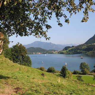 Blick auf den Großen Alpsee
