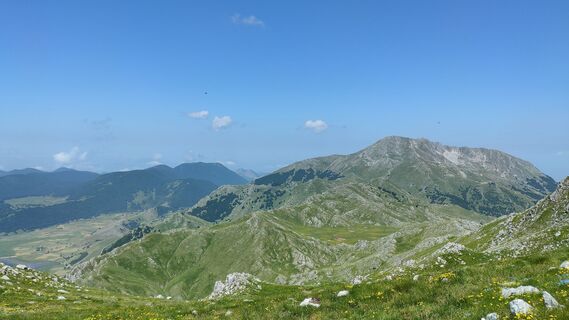 Fotografija s spletne strani Fox74x na poti