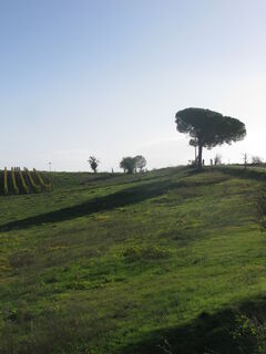 Fotografia z Gianberto Zilli na trase