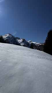 Fotografija s spletne strani ROBERTO BONIOTTI na poti