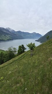 Foto von Andreas Wagner 12 entlang der Tour