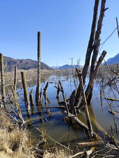 Fotografie de la Albin1958 de-a lungul turului