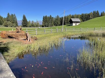 Fotografia z holgerwag na trase