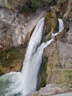 Fotografija s spletne strani luyyy na poti