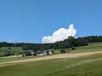 Zdjęcie z Thomas Frater wzdłuż trasy