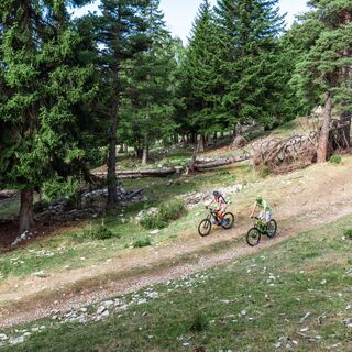 Mountainbike zur Kuhweide von Marie