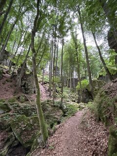 Foto von Robert Christiaans entlang der Tour