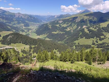 Photo de Boris Sevarika le long du parcours
