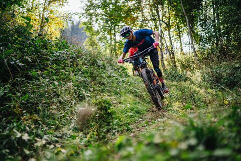 Trail