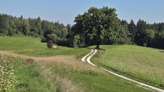 Fotografie z Reinhard R na trase