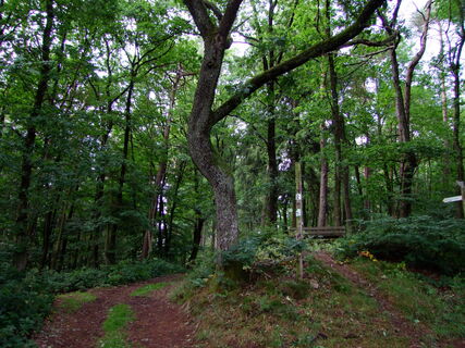 Tettenbusch Prüm 2
