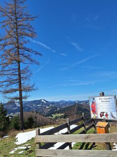 Photo de Mimi le long du parcours