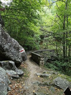 Fotografija s spletne strani Wolgstiege na poti