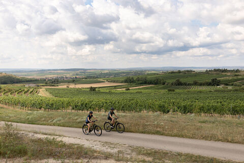 Unterwegs durchs Weinviertel