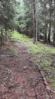 Fotografia z Mandi_3000 na trase