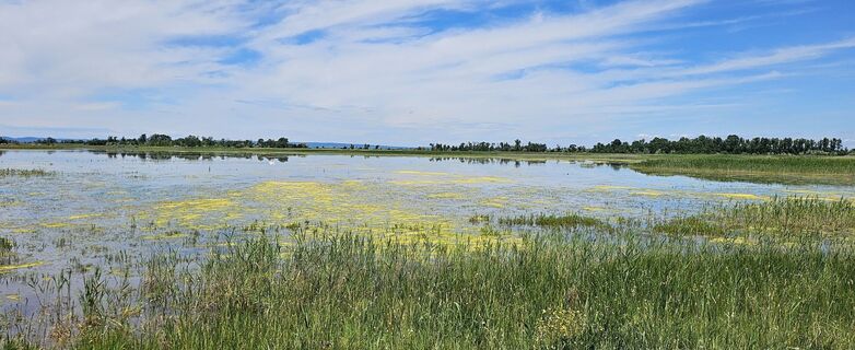 Photo de Tanjasusanna le long du parcours