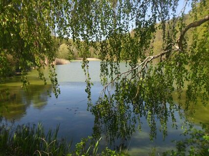 Frühling am Mühlenweiher