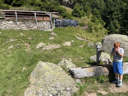 Foto von MM1893 entlang der Tour