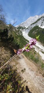 Foto von Babsi Tschabitscher entlang der Tour